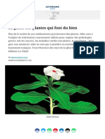 Le Guide Des Plantes Qui Font Du Bien