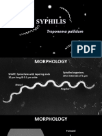 Syphilis - PPT New