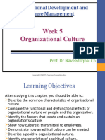 Organisational Culture Lecture 7