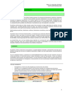 El Petróleo. Fuentes Energéticas