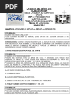 PDF Documento