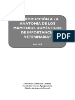 Introducción A La Anatomía de Los Mamíferos Domésticos de Importancia Veterinaria