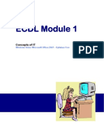 ECDL Module 1