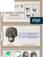 Neurocraneo y Viscerocraneo