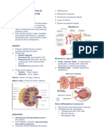 Anph111 Reviewer (Urinary & Endocrine)