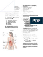 DIGESTIVE SYSTEM - Finals