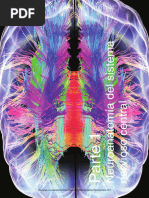 Neuroanatomia Del - Sistema - Nervio