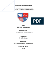 Informe Sem.6 Muscular