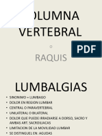 Columna Vertebral