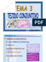 Tejido Conectivo