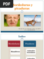 Mordeduras y Picaduras