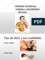 Sencibilidades Somáticas II Dolor