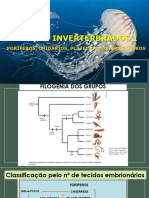 Inverterbrados I - Poríferos e Cnidários 2 Ano EM