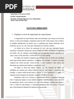 PDF Documento