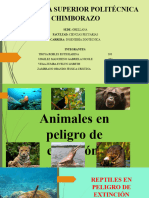 Animales en Peligro de Extensión