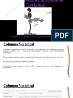 Biomecanica de La Columna Vertebral