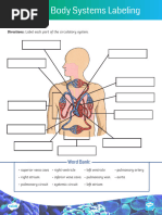 Human Body Systems Labeling Activity Color