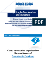 Aula 03 - Organização Funcional Do SN e Encéfalo