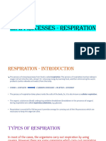 Life Processes - Respiration