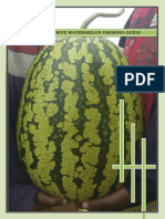 A Comprehensive Watermelon Farming Guide - Dennis Muindi