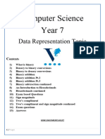 Year 7 Data Rep Booklet 1.2