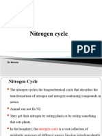 Nitrogen Cycle