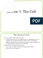 Lesson3 TheCell