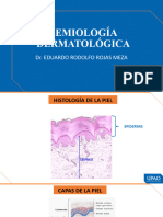 1.lesiones Elementales en Piel (Tema1)