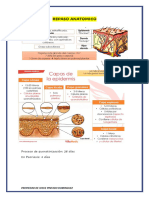 Dermatologia 1er Componente