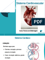 Aula 7 - Sistema Cardiovascular