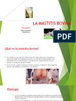 La Mastitis Bovina Hellwing