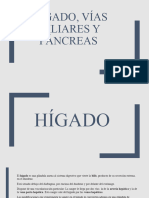 Hígado, Vías Biliares y Páncreas