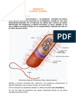 3.2.-2 Celulas Procariotas.