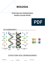 Biologia Mitose