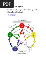 Five Element Acupuncture Theory and Clinical Applications