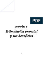 Informe de Estimulación