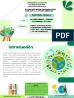 Cruz Categoríal - La Importancia de Las Principales Aportaciones en Relació - 20240404 - 202811 - 0000