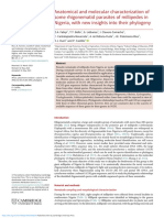 Anatomical and Molecular Characterization of Some Rhigonematid Parasites of Millipedes in Nigeria With New Insights Into Their Phylogeny