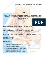 Anatomia en Equipo