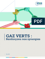 Gaz Verts Maquette VF Page-A-Page V3