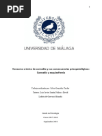 TFG Consumo Cronico de Cannabis y Consecuencias Psicopatologicas: Cannabis y Esquizofrenia