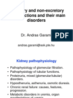 Kidney AG-1