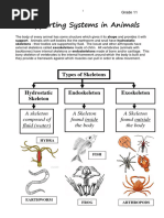 11LS The Skeleton NOTES