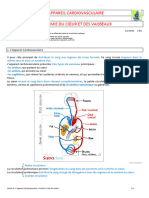 8.1 - Anatomie Du Coeur Et Des Vaisseaux - V2 - Prof