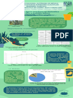 Infografía - Sistema de Producción Cultivo de Agave Tequilana.