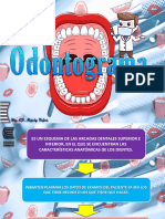 9 SEMANA - Odontograma