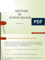 Biosíntesis de Ácidos Grasos y Cetogénesis