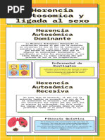 Herencia Autosomal Ligada Al Sexo Infografia