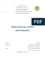 Embriologia Del Sistema Genitourinario Grupo 02