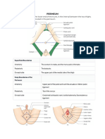 PERINEUM